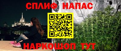 винт Будённовск