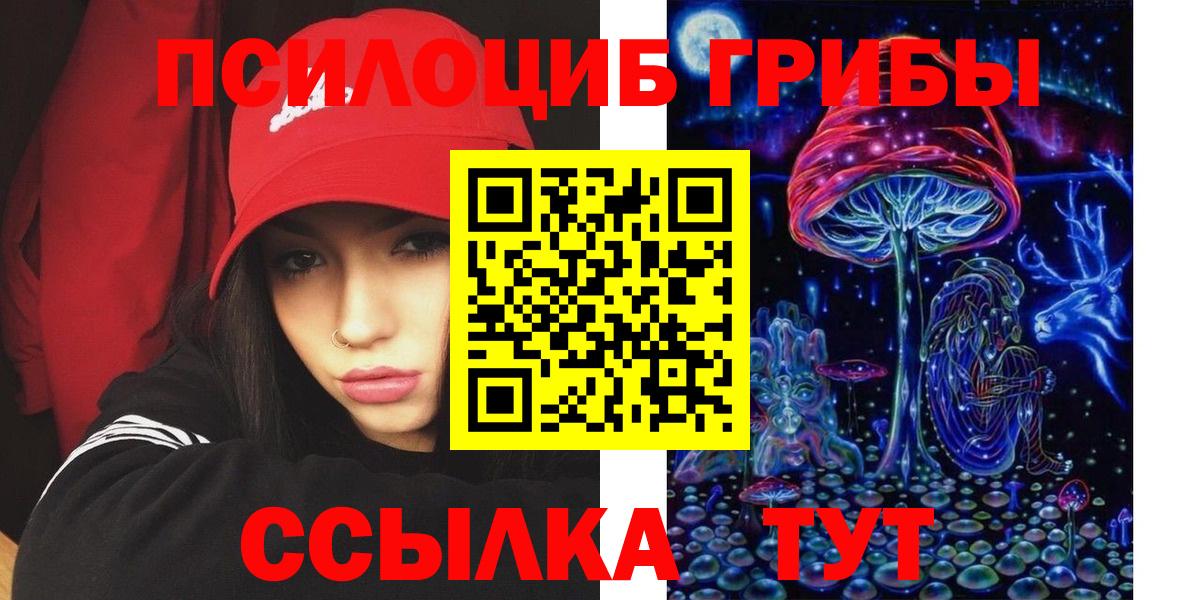 Псилоцибиновые грибы GOLDEN TEACHER  Вход с VPN  наркотики  Подольск 