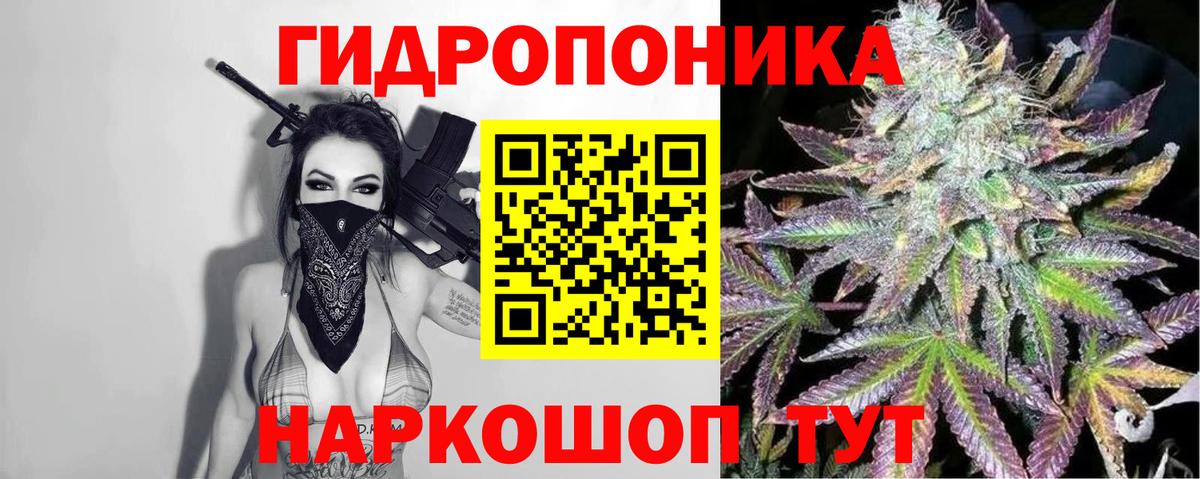 Шишки марихуана семена Подольск